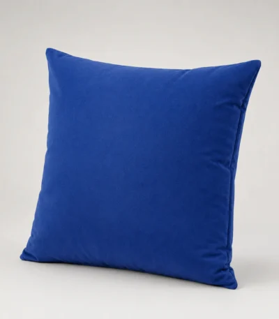 Cushion