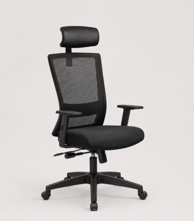 Fortis Chair